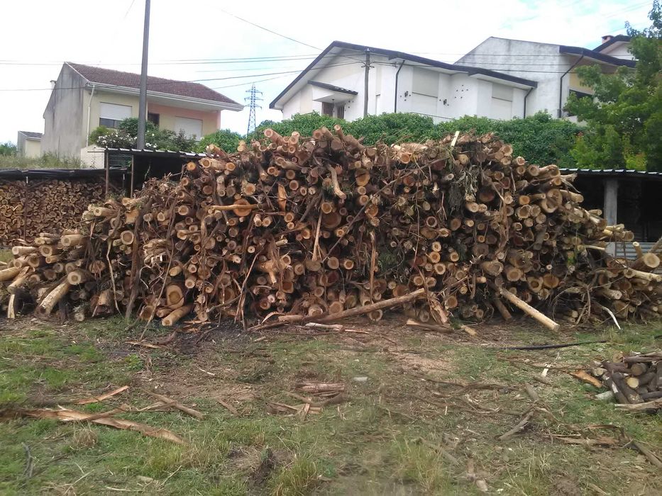 Vendo lenha ao domicílio