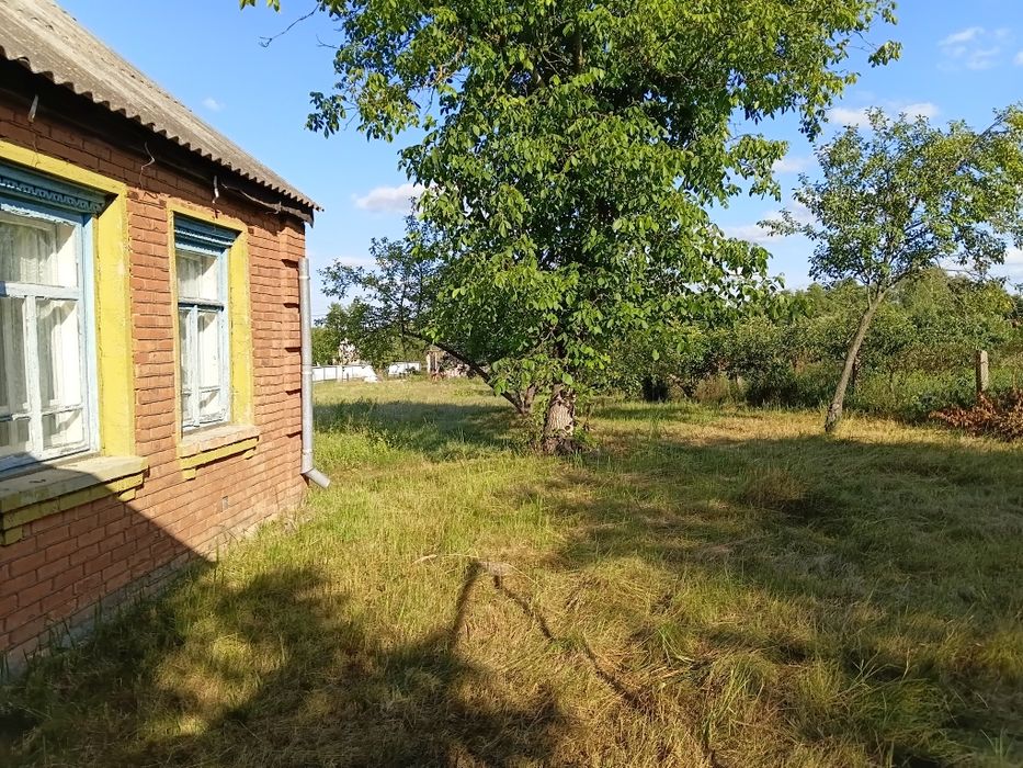 Продам цегляний будинок 80кв.м с. БЕРЕЗІВКА 15км. від ЖИТОМИРА