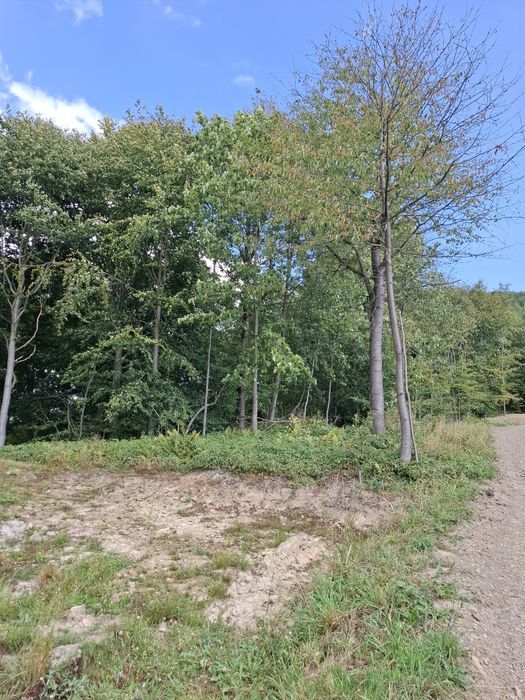 Działka w Wysowej- Zdroju