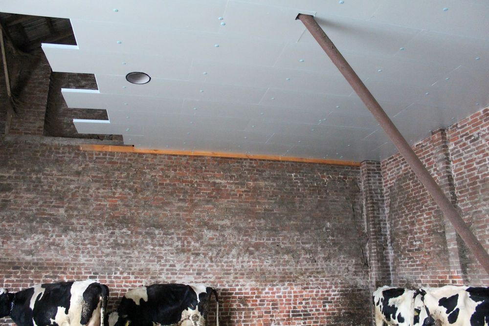 Płyta Rolnicza Styrodur XPS AGRO Ocieplenie Obory Kurnika Tuczarni