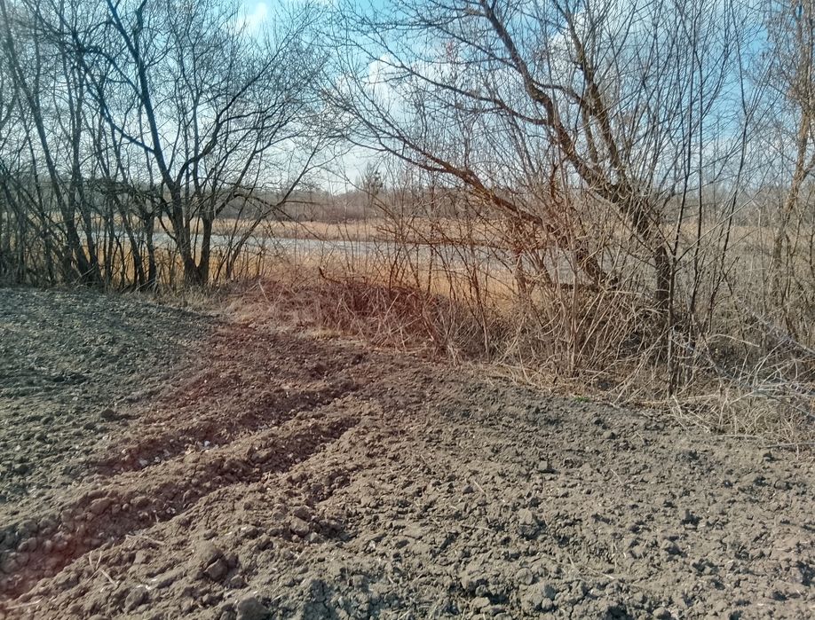 Земельна ділянка