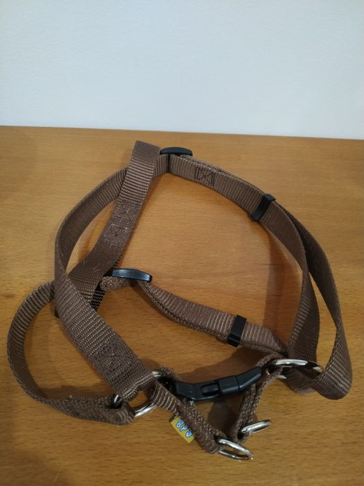 Peitoral cão médio porte