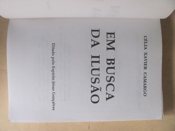 Em Busca da Ilusão de Célia Xavier Camargo