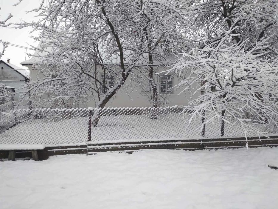 Продаж будинку та земельної ділянки 50 соток, місто Берестечко