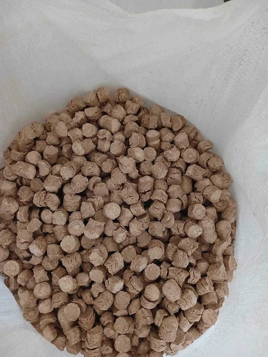Eko groszek zastępstwo pellet brykiet