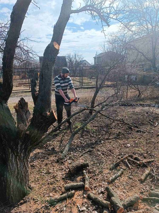 Покос травы, уборка территории, спил деревьев,работаем с ОСББ.