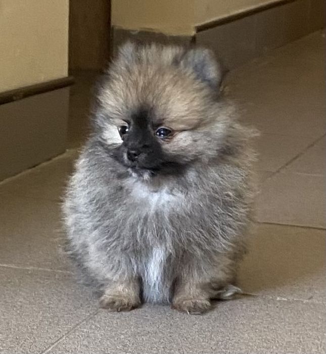 Красуні чекають на вас