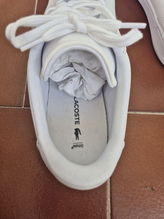 Tenis Lacoste originais