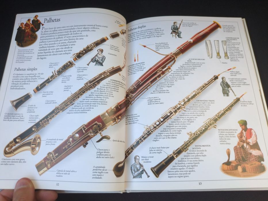 Música e a Evolução dos Instrumentos Musicais