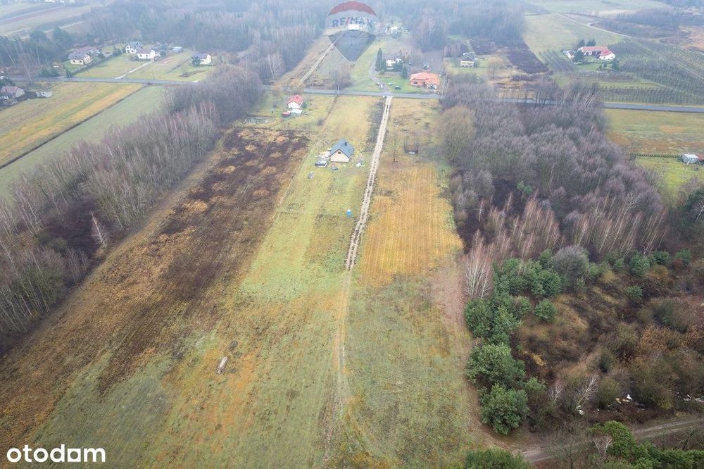 Działa Gaj Żelechowski