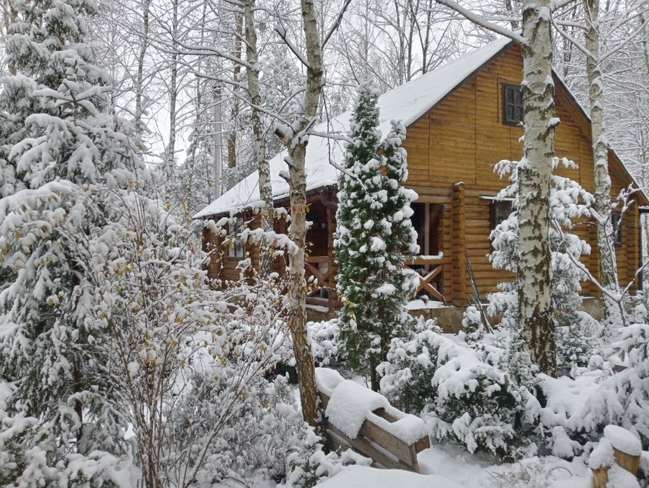 Оренда подобово заміський будинок зі зрубу баня