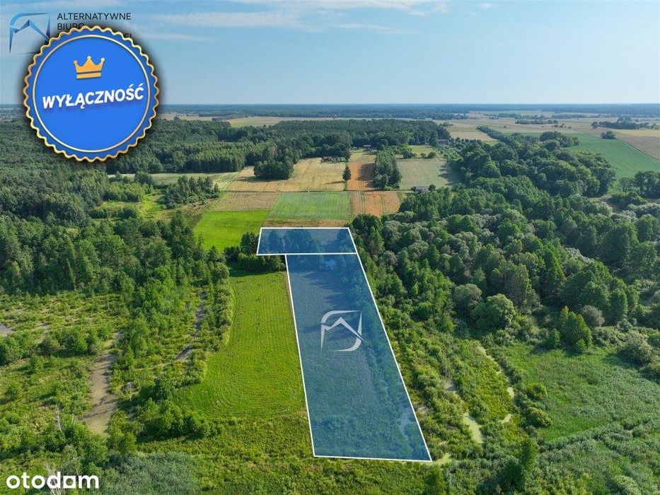 Działka rolna z pokładami torfu - Żminne