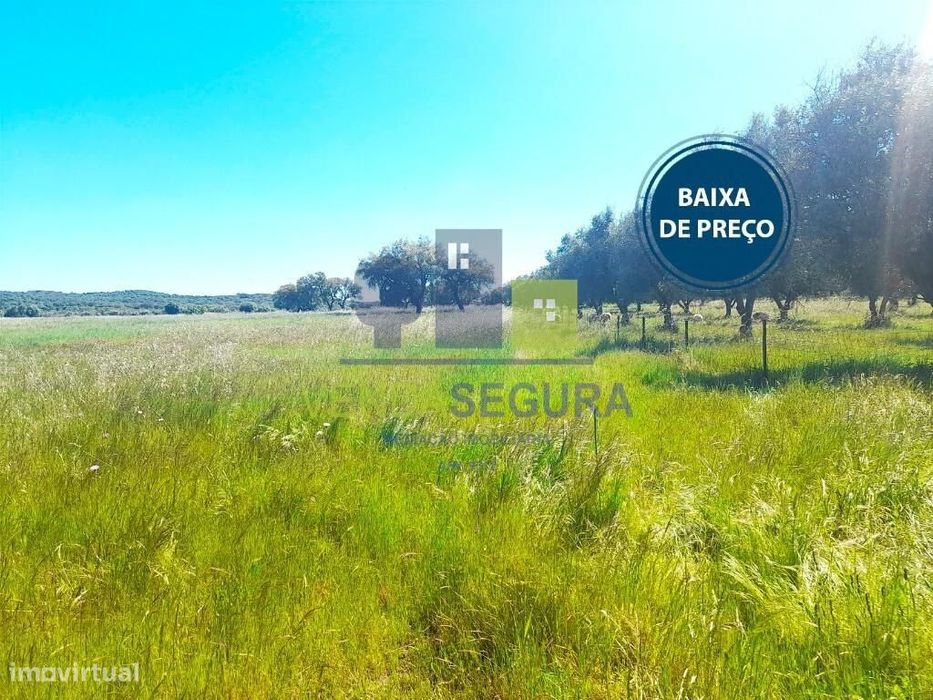 Terreno rústico | V.N.Baronia