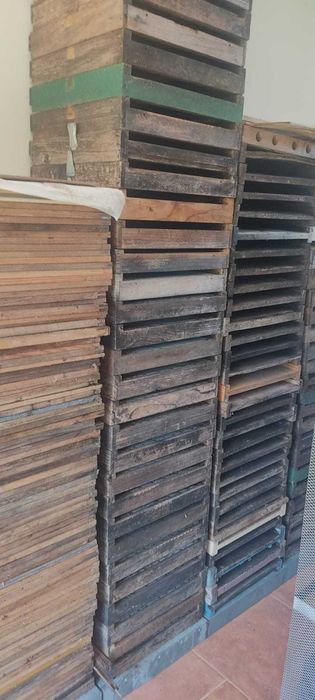 Alimentador para Abelhas redondo 1 e 2kg