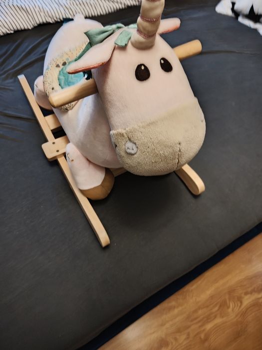 Konik na Biegunach