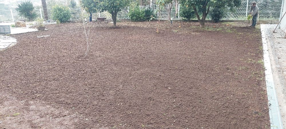 Limpeza de terrenos