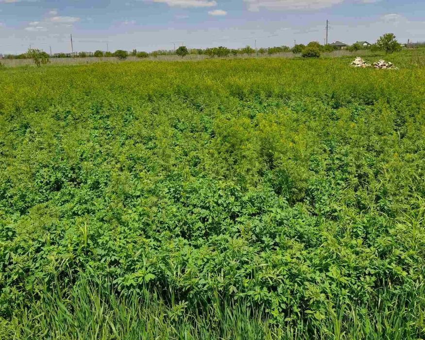 Участок в с.Молодежном ! Супер цена !