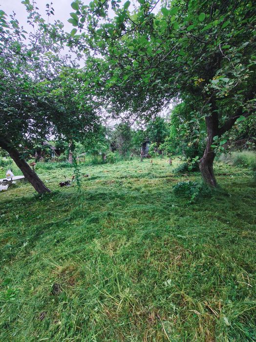 Sprzedam Działka ROD 358 M2 os.Grunwaldzkie Olsztyn - Widok 5