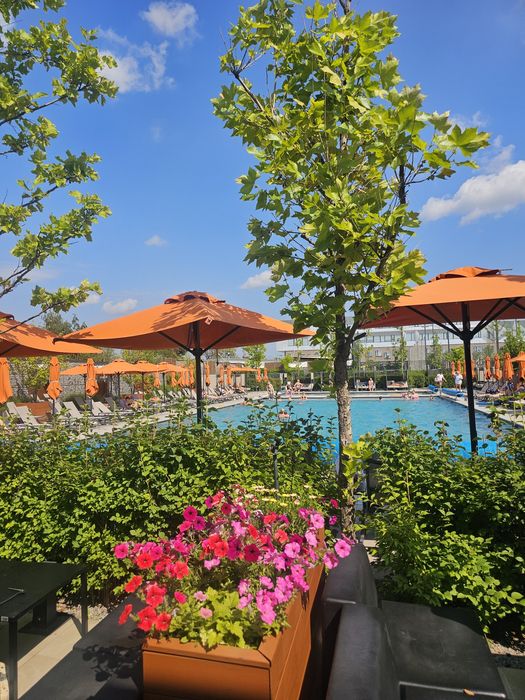 Квартира подобово у "Файна Таун". Салютна, Нивки. Сезонний басейн.