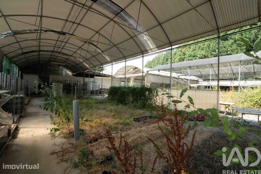 Terreno para construção em Borbela e Lamas de Olo de 2750,00 m2