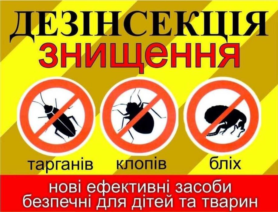 профи помощь от тараканов, клопов, блох, грызунов в доме/квартире