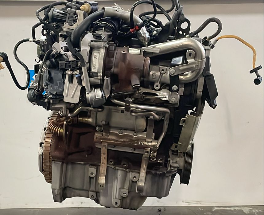 MOTOR RENAULT KANGOO II (KW0/1_)  [08-21]