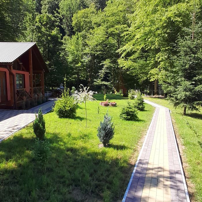 Котедж в заповідній зоні Карпати