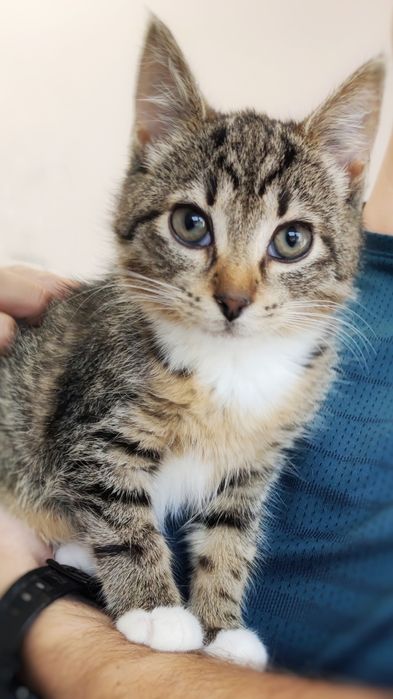 Maleństwo szuka miłości :)