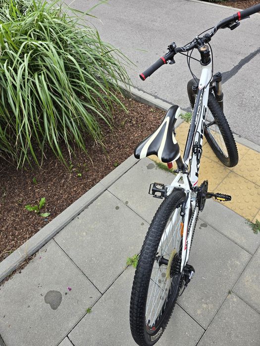 Rower kross hexagon x3