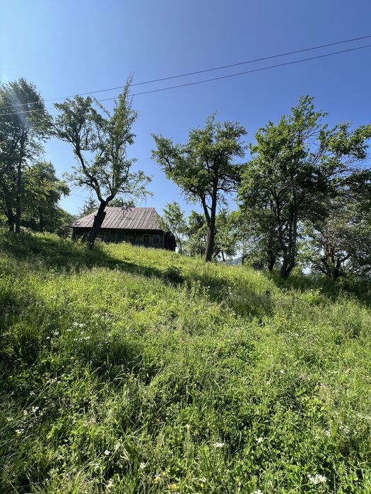 Продам ділянку в горах з гарним краєвидом