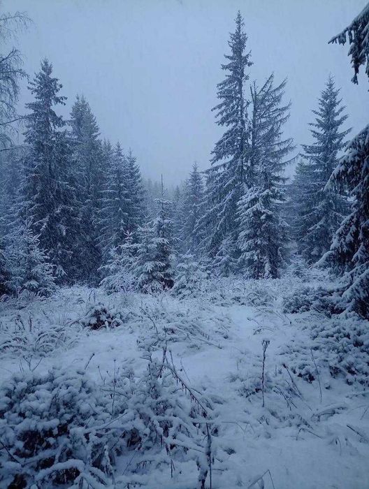 Продаж унікальної ділянка з видом на Гірськолижний курорт "GORO"