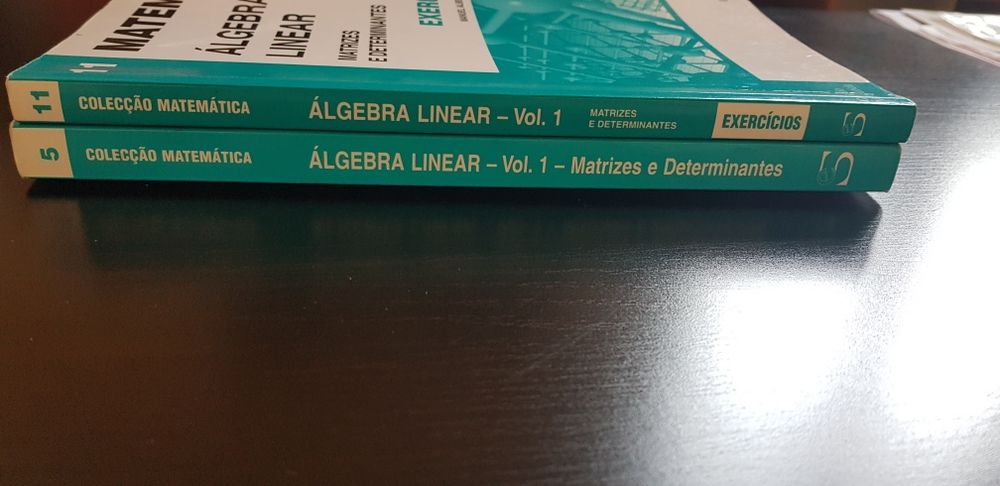 Álgebra Linear Matrizes e Determinantes