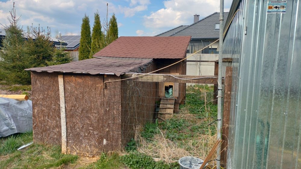 Oddam kurnik za darmo