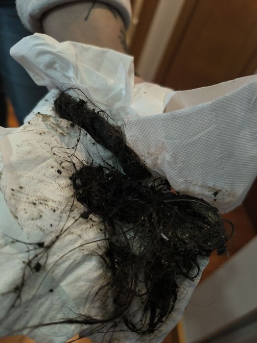 Limpeza Regular e Deep cleaning