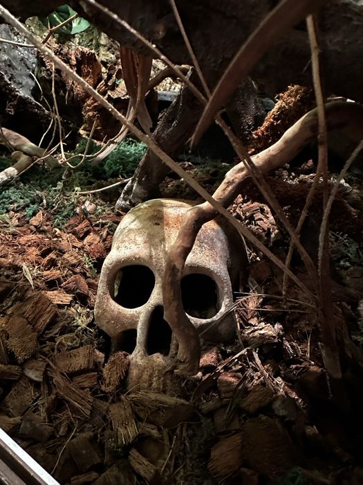 Ogromne piękne szklane terrarium okazja!!!