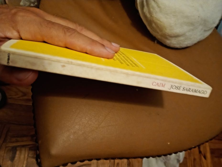 Caim - Saramago - Caminho - 2 edição - 12E - Bola de Papel de  Prata Antiga parecida com a que minha avó  fazia -10E - Bolinha laranja 2E Desde 2E