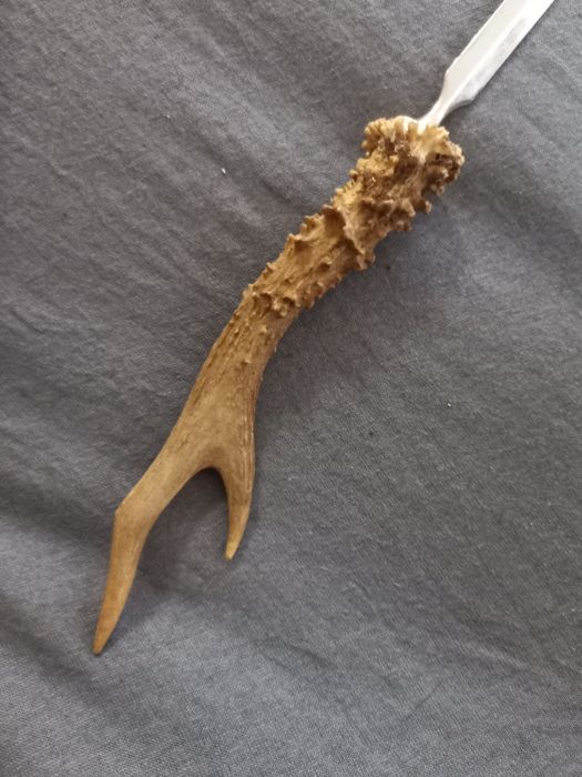 Nóż (nożyk) do papieru -  parostek kozła- myślistwo