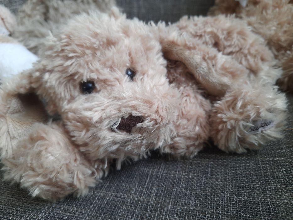 Maskotki Bukowski - misie, pieski