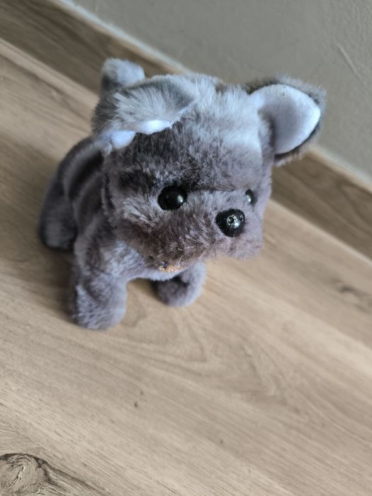 Interaktywny piesek