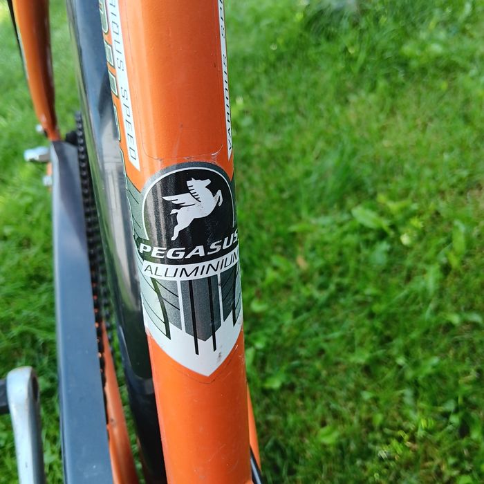 Rower Pegasus Milano