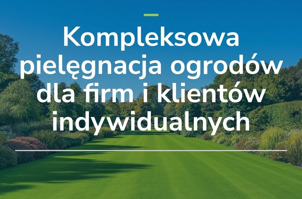 TY sadzisz, MY kosimy - konkurencję też!