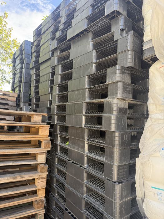 Продаються піддони пластикові 180 шт 1300X1100X120 вага 1 шт 10,5 кг