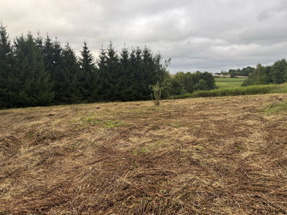 Dzialka Strzyżów Brzeżanka