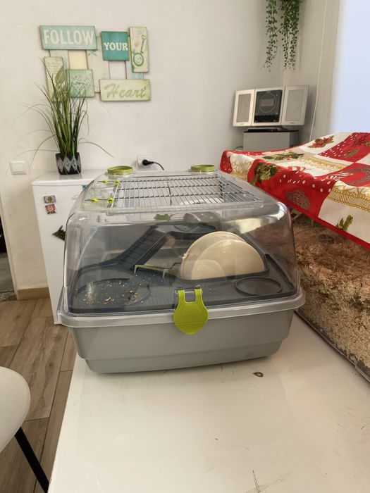 Gaiola Hamster Com 1 mes de uso