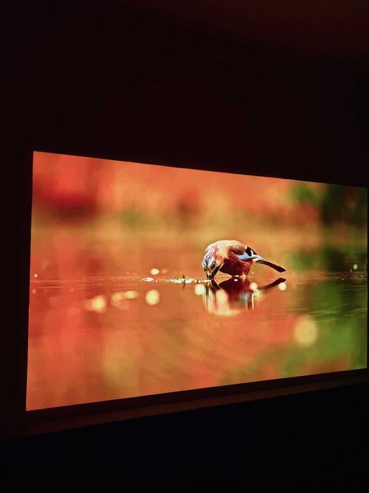 Проектор XGIMI Halo | Гарантія | Повний комплект