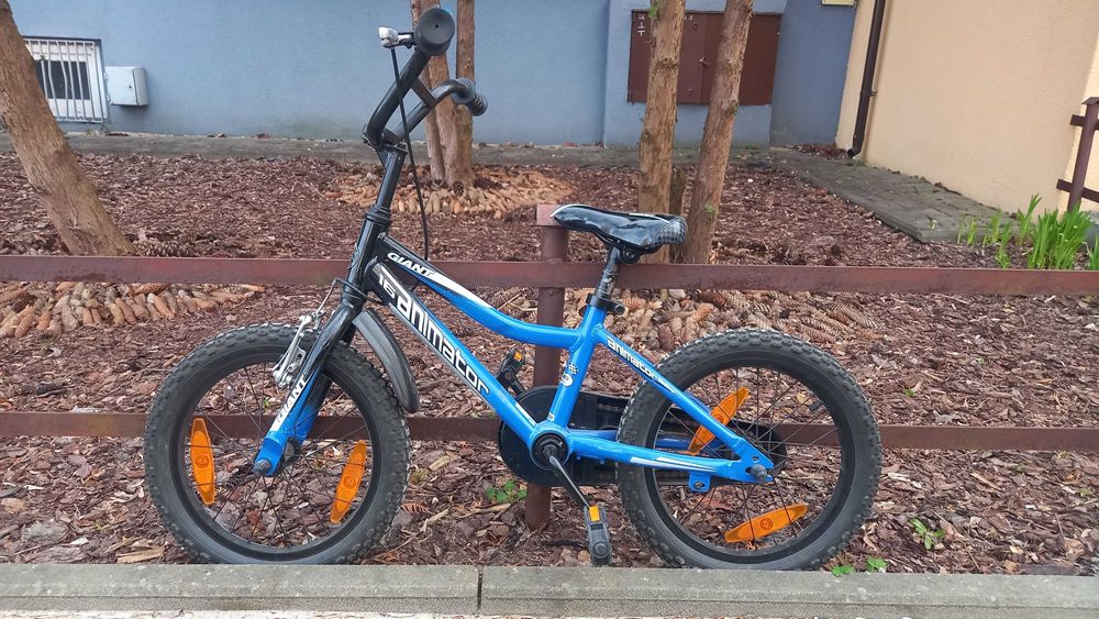 Rower dla dziecka Giant Animator 16"