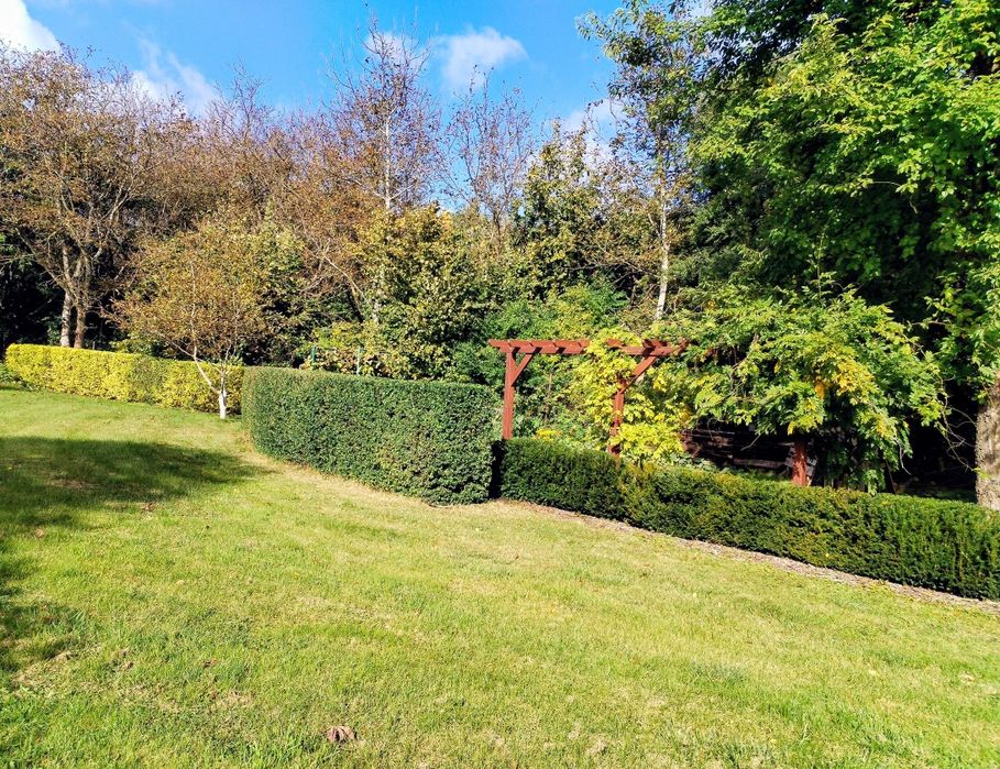 Opieka nad ogrodem, pielęgnacja zieleni