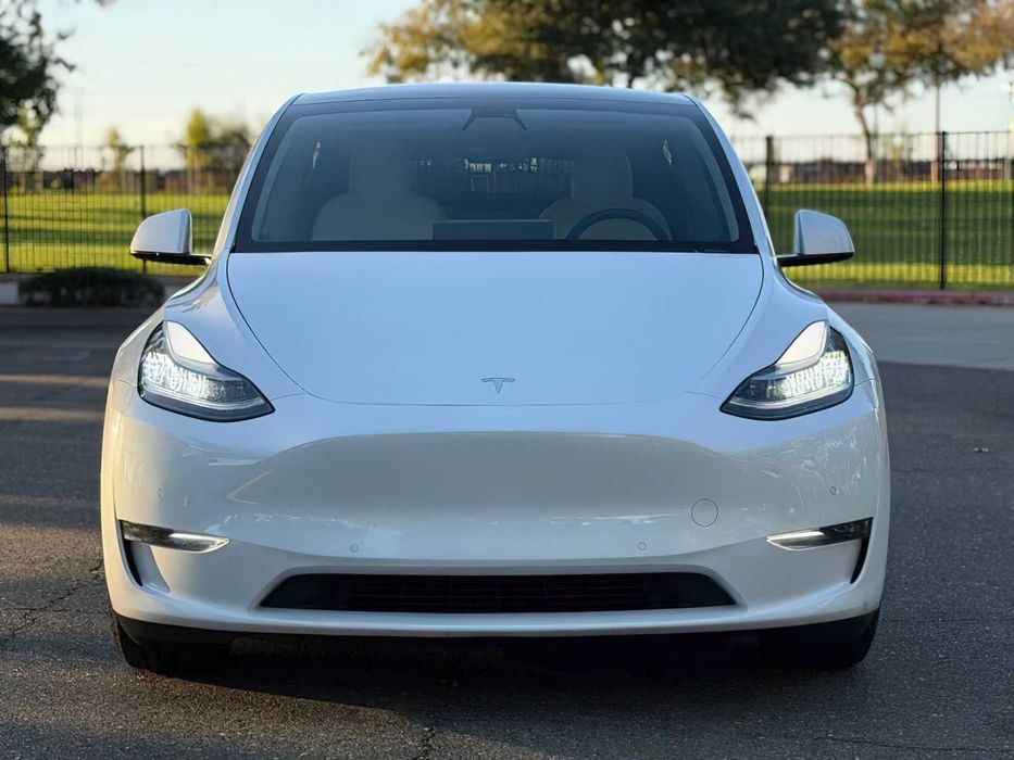 Tesla Model Y Performance      2020