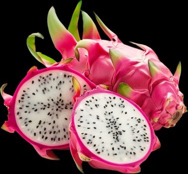 Citrinos Enxertados (Limoeiros, Laranjeiras