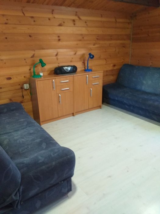 Drewniany domek letniskowy nad jeziorem Wdzydze